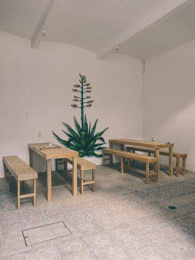 Hostel Casa Maguey Oaxaca Buitenkant foto